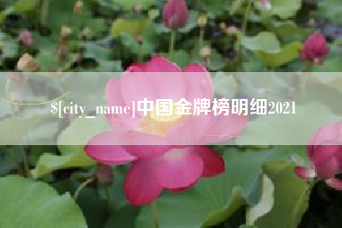 宝应县中国金牌榜明细2021