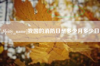 宝应县我国的消防日是多少月多少日