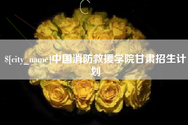 宝应县中国消防救援学院甘肃招生计划
