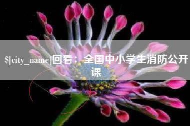 宝应县回看：全国中小学生消防公开课