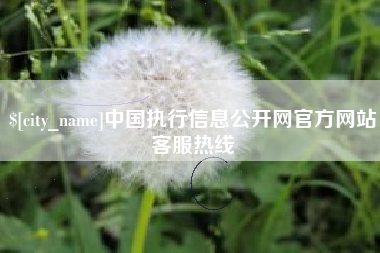 宝应县中国执行信息公开网官方网站客服热线