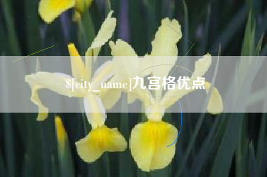 宝应县九宫格优点