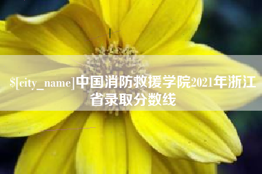 宝应县中国消防救援学院2021年浙江省录取分数线