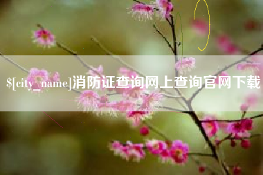 宝应县消防证查询网上查询官网下载