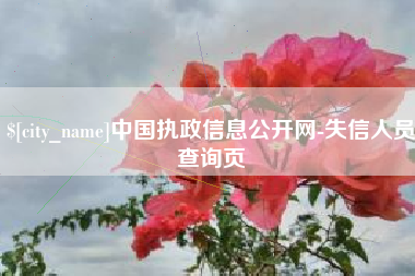 宝应县中国执政信息公开网-失信人员查询页