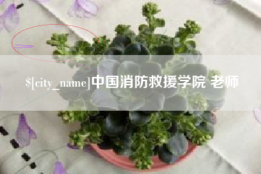 宝应县中国消防救援学院 老师