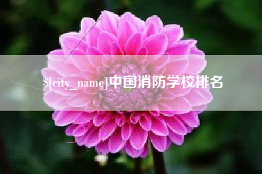宝应县中国消防学校排名