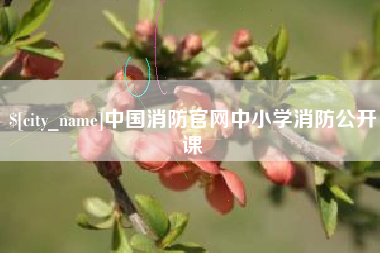 宝应县中国消防官网中小学消防公开课