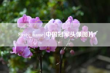宝应县中国冠军头像图片