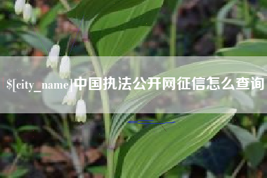 宝应县中国执法公开网征信怎么查询