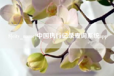 宝应县中国执行记录查询系统app