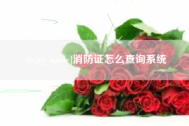 宝应县消防证怎么查询系统