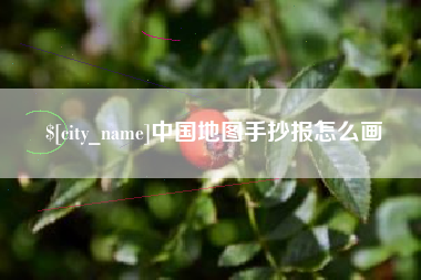 宝应县中国地图手抄报怎么画