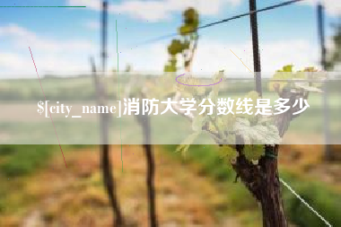 宝应县消防大学分数线是多少