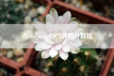 宝应县2021消防分数线