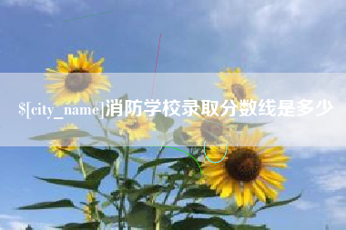 宝应县消防学校录取分数线是多少