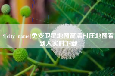宝应县免费卫星地图高清村庄地图看到人实时下载