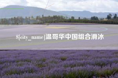 宝应县温哥华中国组合滑冰
