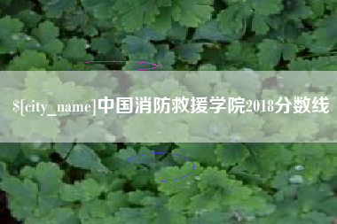 宝应县中国消防救援学院2018分数线