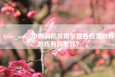 宝应县中国消防救援学院各省录取分数线有何差异？