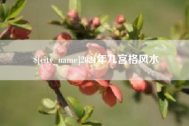 宝应县2021年九宫格风水
