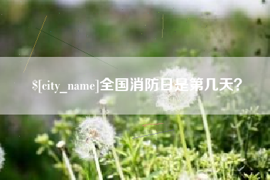 宝应县全国消防日是第几天？