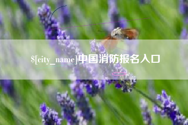 宝应县中国消防报名入口