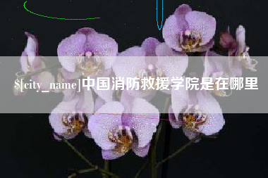 宝应县中国消防救援学院是在哪里