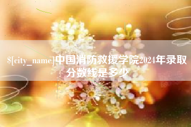 宝应县中国消防救援学院2024年录取分数线是多少