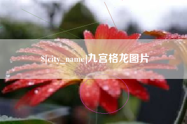 宝应县九宫格龙图片