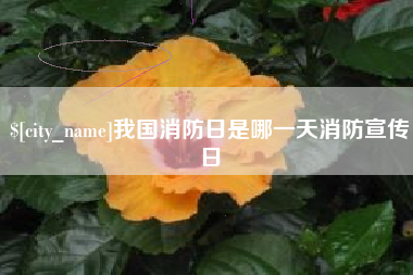 宝应县我国消防日是哪一天消防宣传日