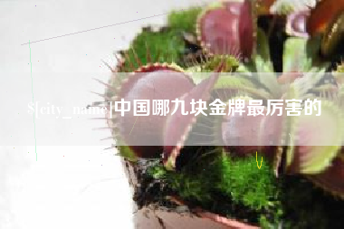 宝应县中国哪九块金牌最厉害的