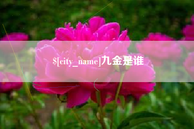 宝应县九金是谁