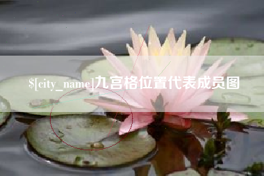 宝应县九宫格位置代表成员图