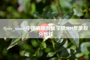 宝应县中国消防救援学院2019年录取分数线
