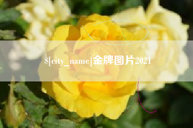 宝应县金牌图片2021