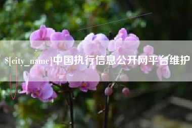 宝应县中国执行信息公开网平台维护