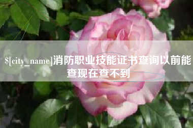 宝应县消防职业技能证书查询以前能查现在查不到
