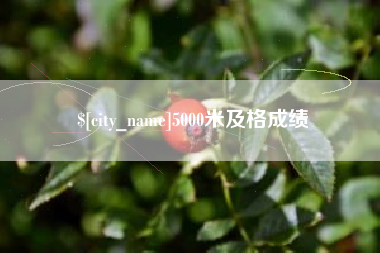 宝应县5000米及格成绩