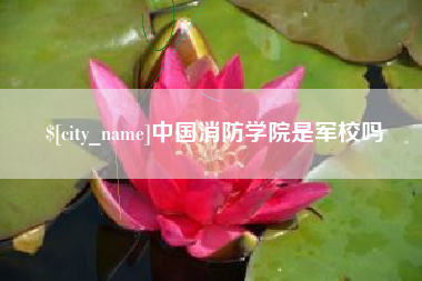 宝应县中国消防学院是军校吗