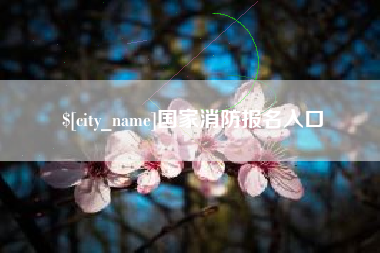 宝应县国家消防报名入口