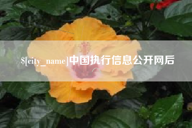 宝应县中国执行信息公开网后