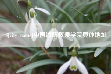 宝应县中国消防救援学院具体地址