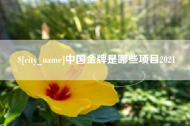 宝应县中国金牌是哪些项目2021