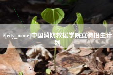 宝应县中国消防救援学院安徽招生计划