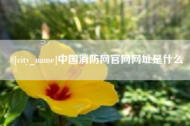 宝应县中国消防网官网网址是什么