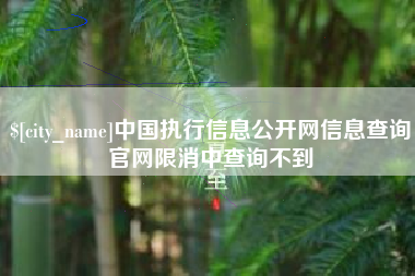 宝应县中国执行信息公开网信息查询官网限消中查询不到