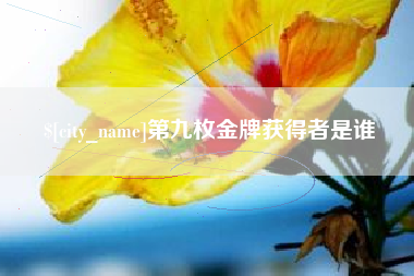 宝应县第九枚金牌获得者是谁