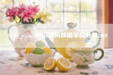 宝应县中国消防救援学院分数2020