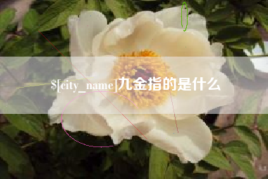 宝应县九金指的是什么
